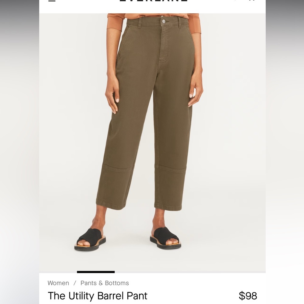 Everlane Utility Barrel Pant